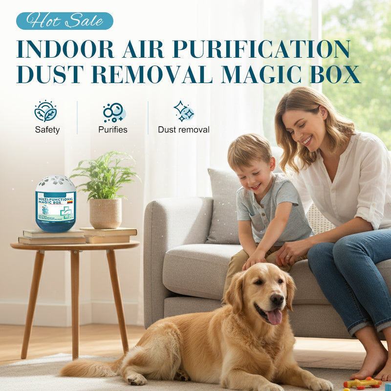🔥2026 New Collection - Limited-Time Pre-Sale⏰Indoor Air Purification Dust Removal Magic Box