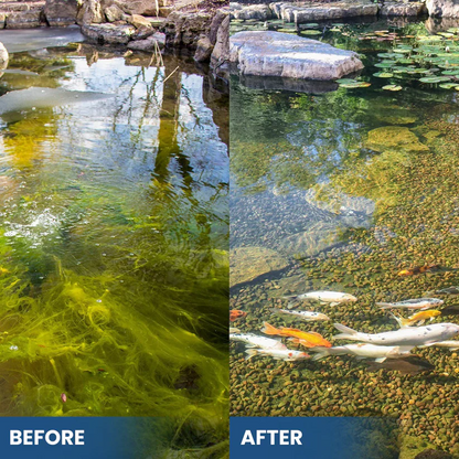 🌟 Official Store |✨ From Murky Swamp to Perfect Pond! | 3-in-1 Green Water Fix
